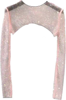 ‘PASHA’ Rhinestone Crop Top - Pink